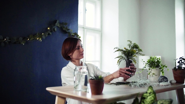 A young creative woman arranging flowers in a flower shop. A startup of florist business. Slow motion.