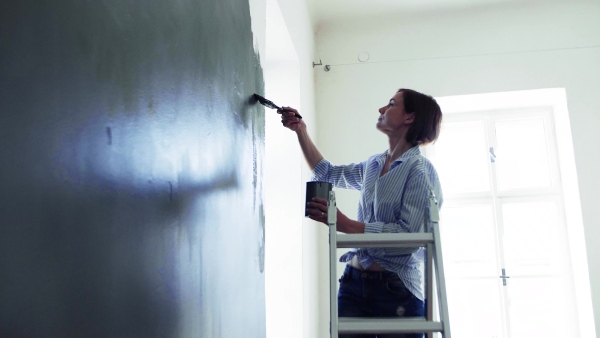 A young woman sitting on ladder painting wall black. A startup of small business.