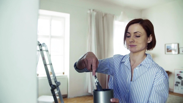 A young woman painting wall black. A startup of small business. Slow motion.