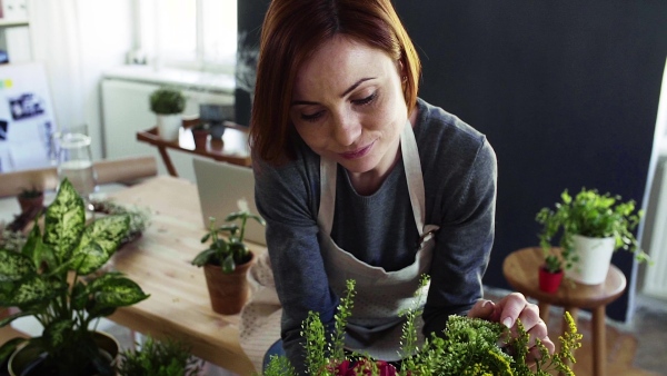 A young creative woman arranging flowers in a flower shop. A startup of florist business. Slow motion.