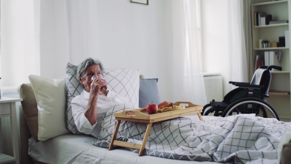 An elderly sick senior woman with food on a wooden tray lying in bed at home, drinking.