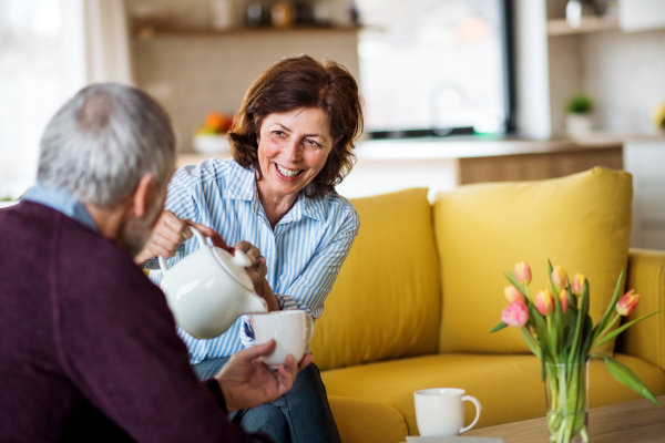 An affectionate senior couple in love sitting on sofa indoors at home, drinking tea and talking.