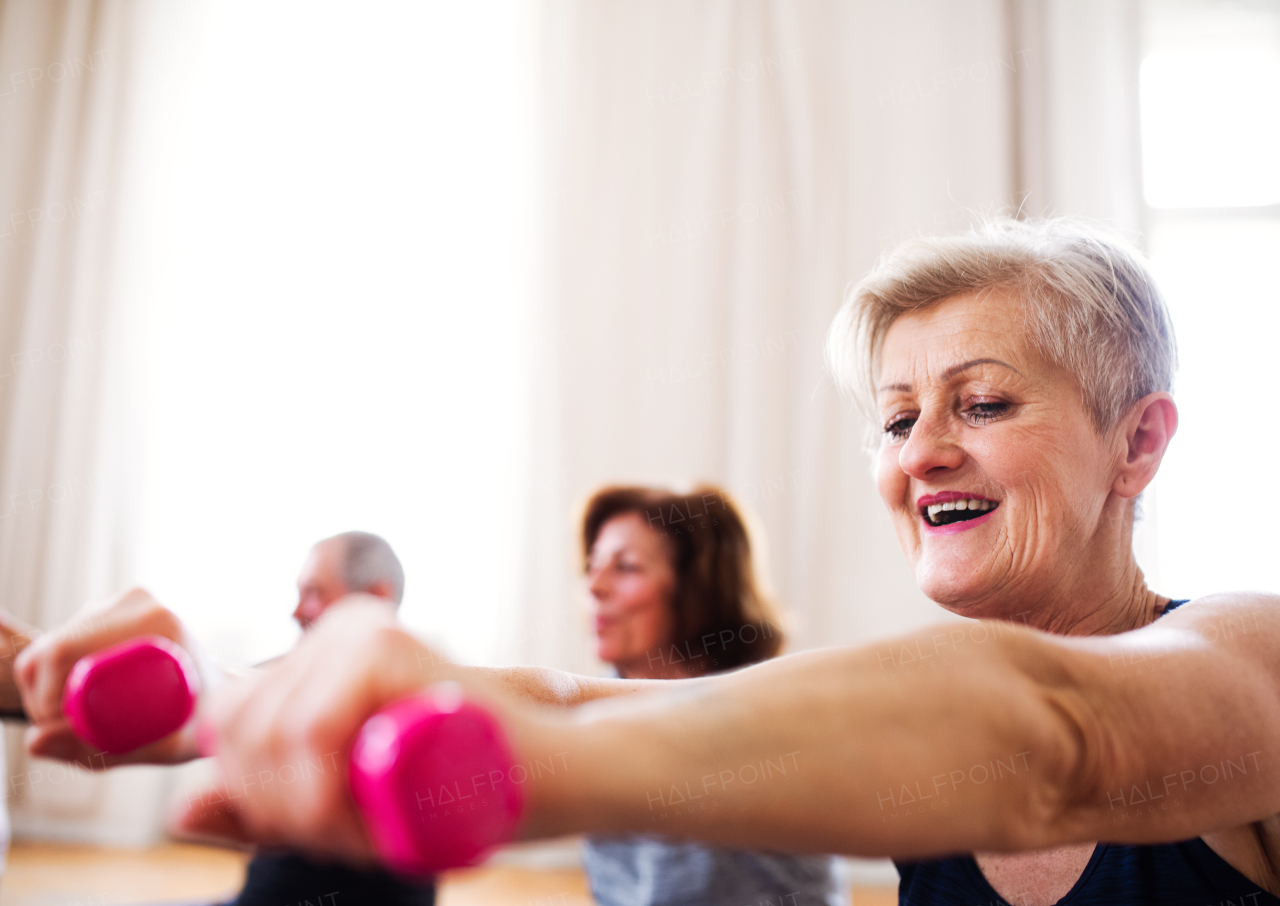 Group of active senior people doing exercise with dumbbells in community center club.