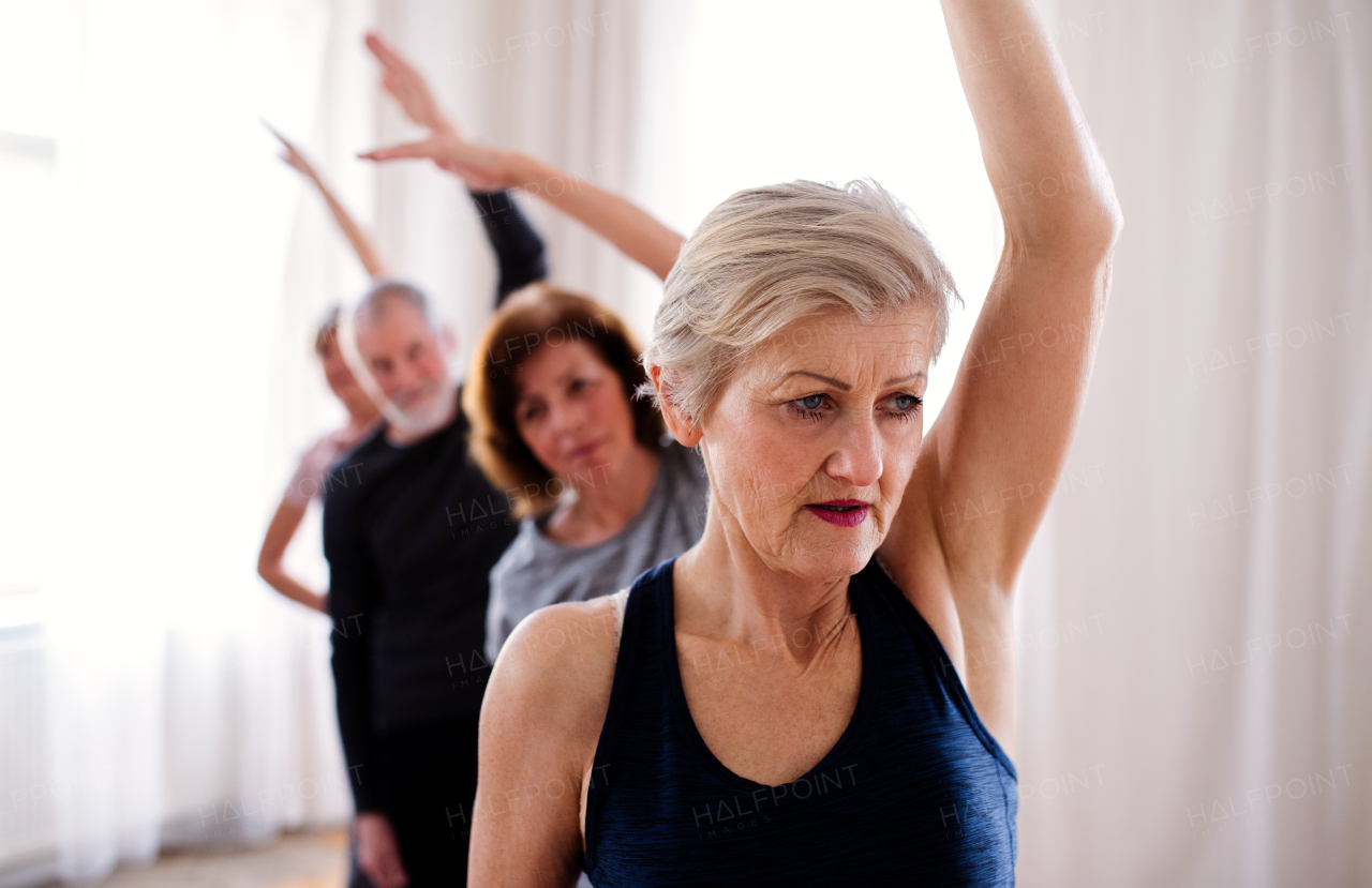 Group of active senior people doing exercise in community center club.