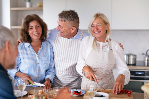 Front view of group of cheerful senior friends at dinner party at home, cooking.