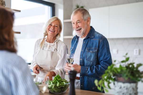 Front view of group of cheerful senior friends at dinner party at home, cooking.