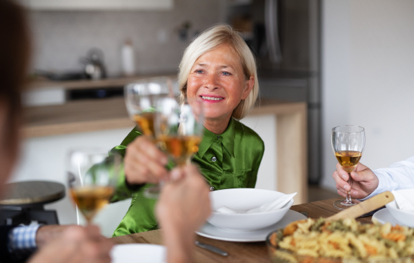 Group of senior friends enjoying dinner party at home, clinking glasses.