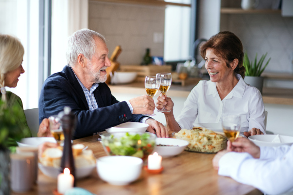 Group of senior friends enjoying dinner party at home, clinking glasses.