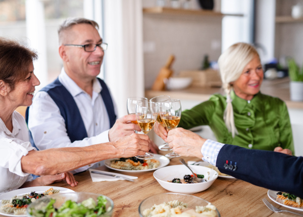 Group of senior friends enjoying dinner party at home, clinking glasses.