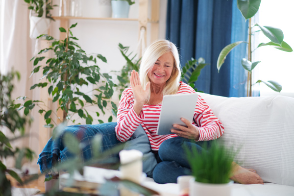 Attractive senior woman with tablet sitting indoors on sofa, video call and quarantine concept.