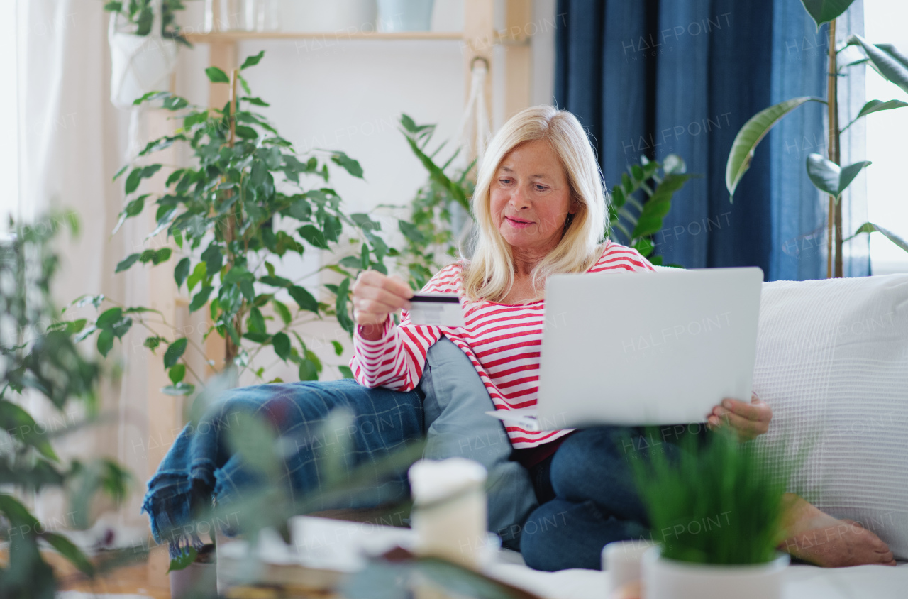 Attractive senior woman with laptop and credit card sitting indoors on sofa, online payment concept.