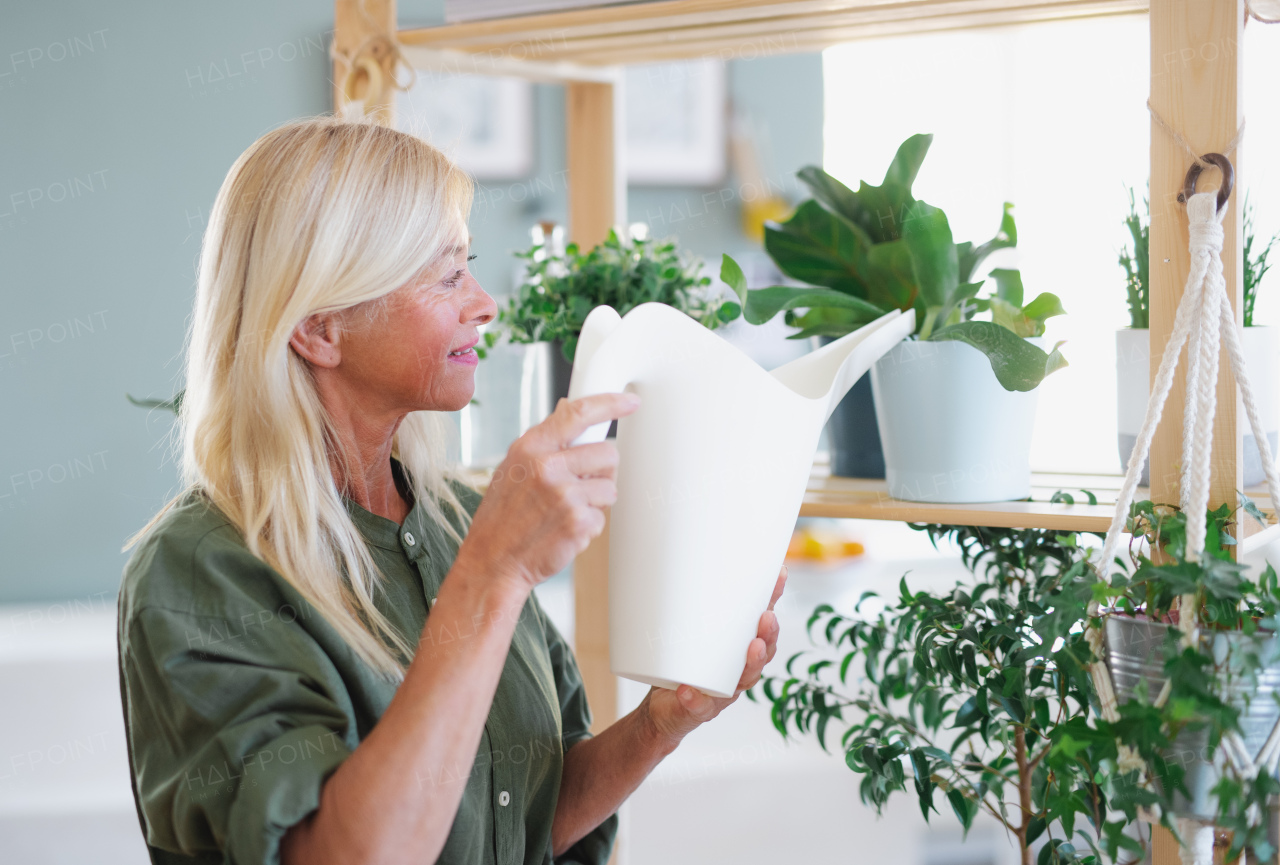 Side view of attractive senior woman watering plants indoors at home.