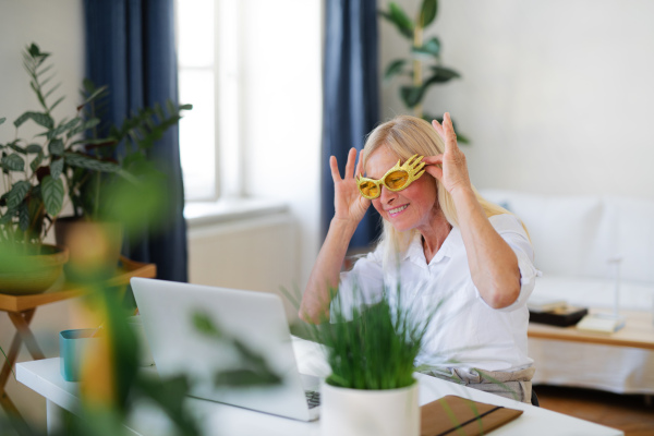 Happy senior woman with laptop indoors at home, family video call concept.