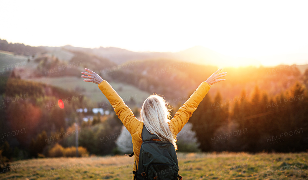 Rear view of senior woman hiker standing outdoors in nature at sunset, arms stretched.