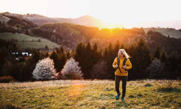 Front view of senior woman hiker walking outdoors in nature at sunset. Copy space.