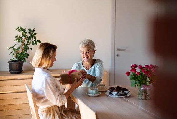 Happy adult daughter giving present to senior mother indoors at home, mothers day or birthday celebration.