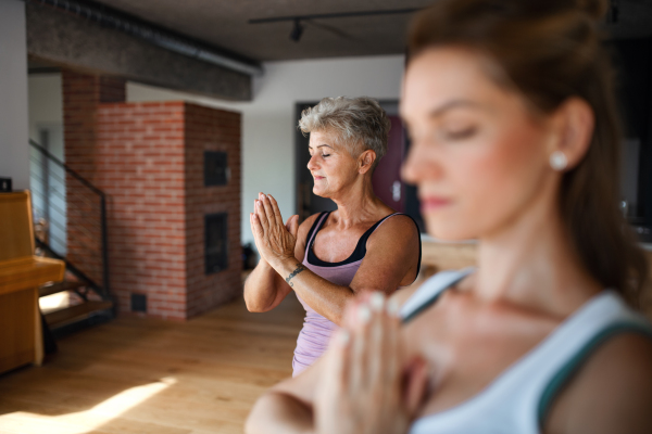 An active senior woman in sportsclothes exercising with her adult daughter indoors at home.