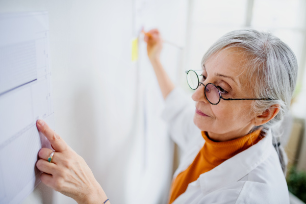 Portrait of senior woman architect with blueprints standing indoors at home, working.