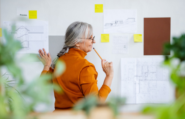 Rear view of thoughtful senior woman architect standing indoors at home, working.