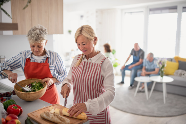 Group of cheerful senior friends having party indoors, cooking and talking.