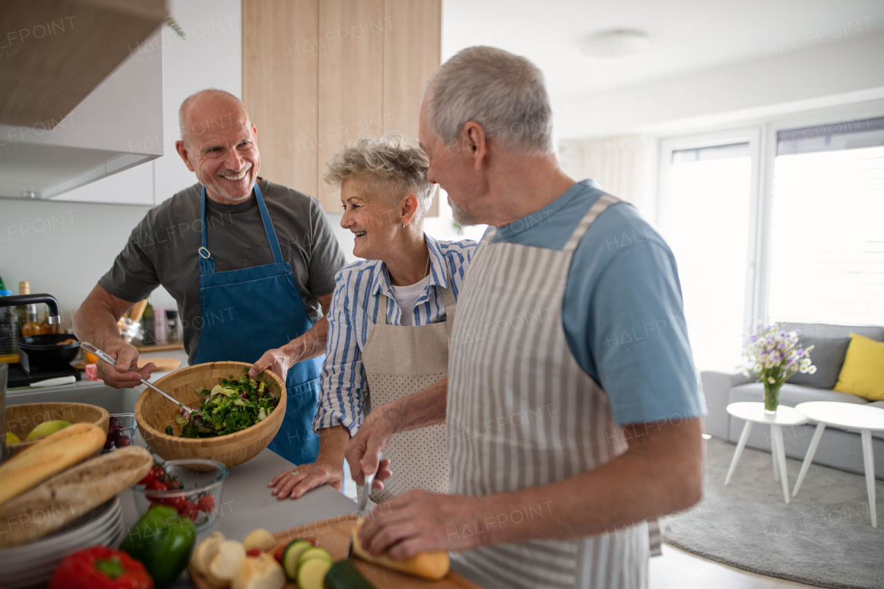 Group of cheerful senior friends having party indoors, cooking and talking.