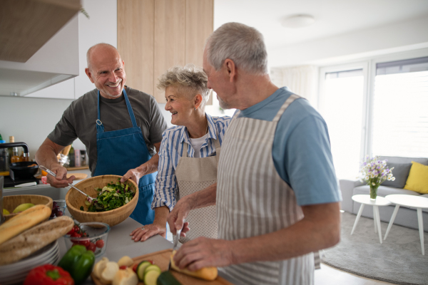 Group of cheerful senior friends having party indoors, cooking and talking.