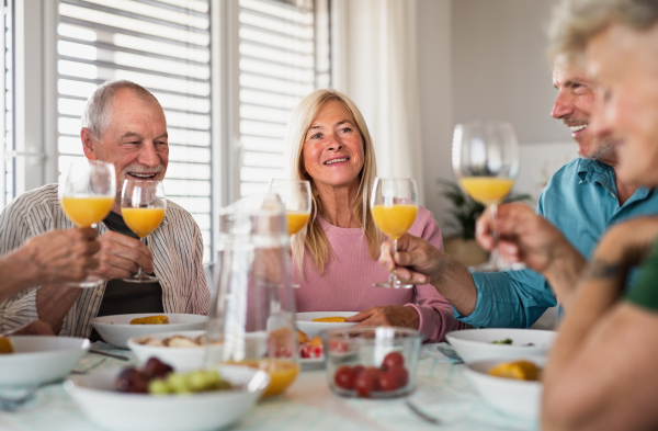 A group of senior friends having party indoors, talking when eating at the table.