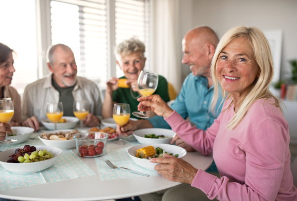 A group of senior friends having party indoors, talking when eating at the table.