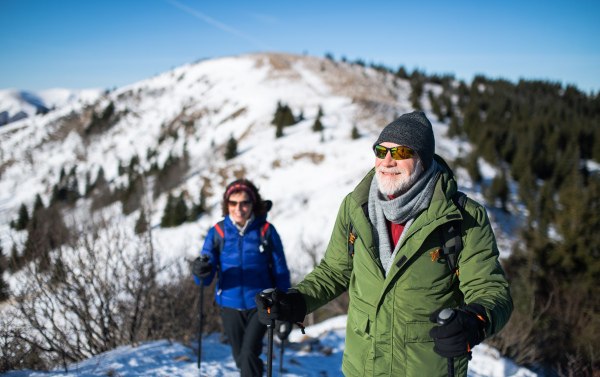 Senior couple with nordic walking poles hiking in snow-covered winter nature, healthy lifestyle concept.