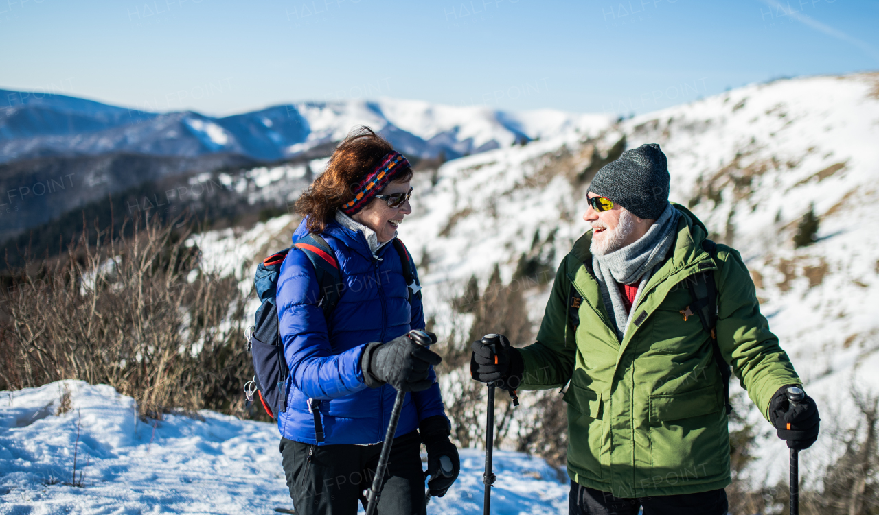 Senior couple hikers with nordic walking poles in snow-covered winter nature, talking.