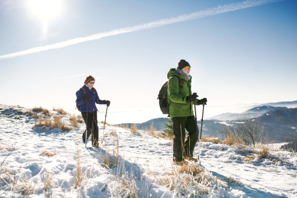 Senior couple with nordic walking poles hiking in snow-covered winter nature, healthy lifestyle concept.