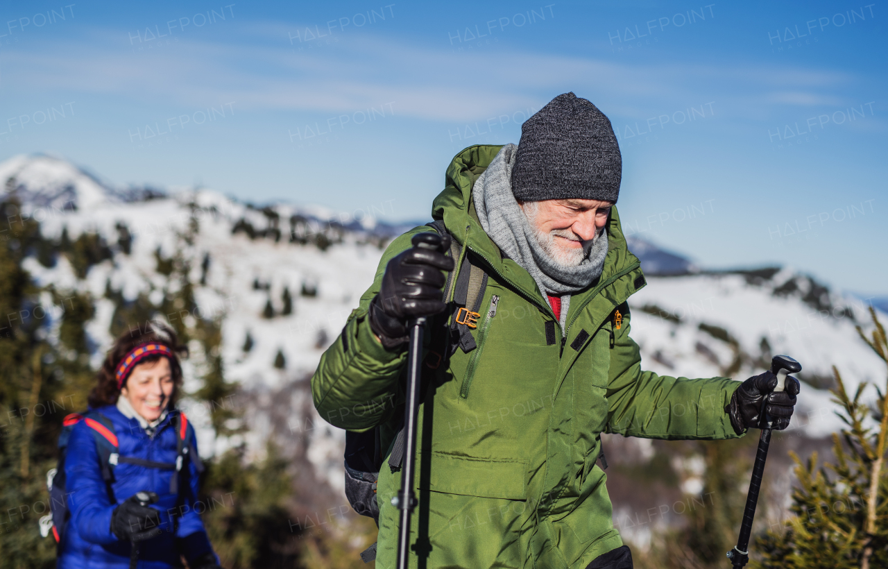 Senior couple with nordic walking poles hiking in snow-covered winter nature, healthy lifestyle concept.