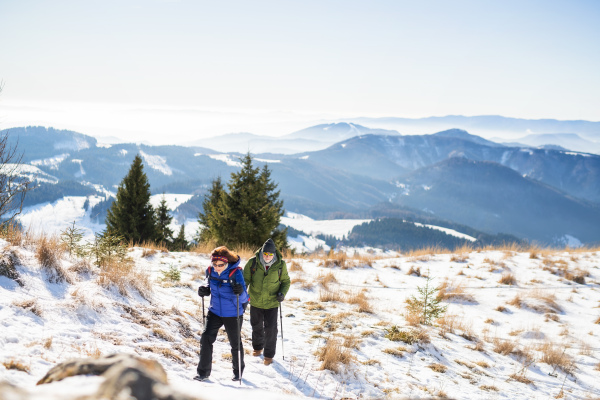 Senior couple with nordic walking poles hiking in snow-covered winter nature, healthy lifestyle concept.