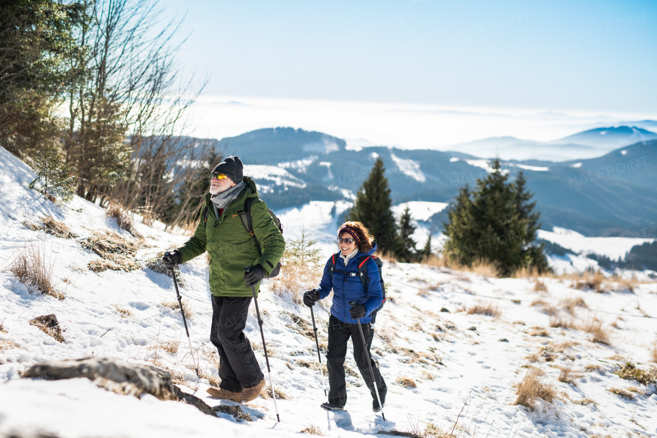 Senior couple with nordic walking poles hiking in snow-covered winter nature, healthy lifestyle concept.