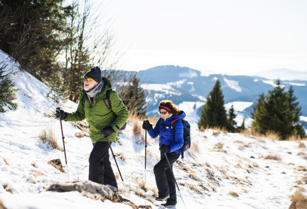 Senior couple with nordic walking poles hiking in snow-covered winter nature, healthy lifestyle concept.