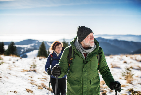 Senior couple with nordic walking poles hiking in snow-covered winter nature, healthy lifestyle concept.