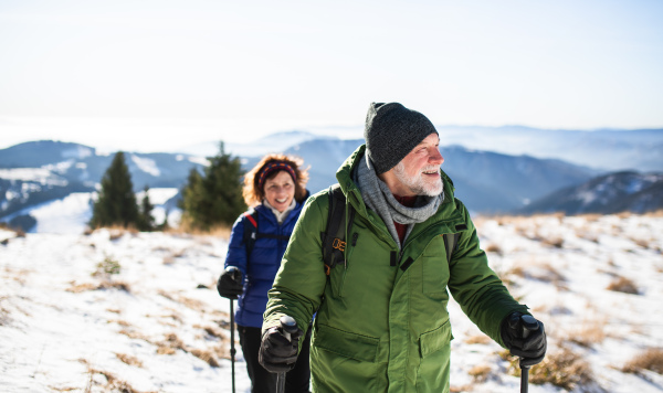 Senior couple with nordic walking poles hiking in snow-covered winter nature, healthy lifestyle concept.