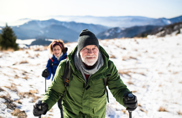 Senior couple with nordic walking poles hiking in snow-covered winter nature, healthy lifestyle concept.