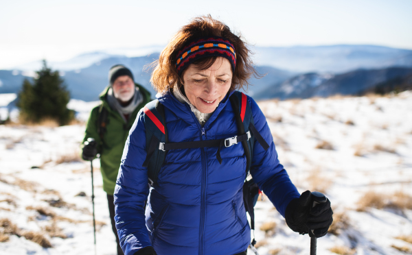 Senior couple with nordic walking poles hiking in snow-covered winter nature, healthy lifestyle concept.