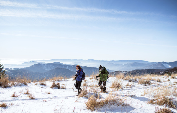 Senior couple with nordic walking poles hiking in snow-covered winter nature, healthy lifestyle concept.