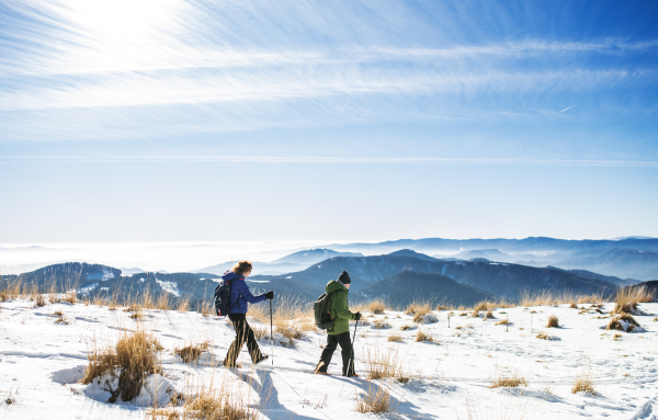 Senior couple with nordic walking poles hiking in snow-covered winter nature, healthy lifestyle concept.