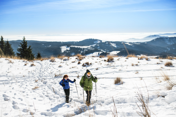 Senior couple with nordic walking poles hiking in snow-covered winter nature, healthy lifestyle concept.