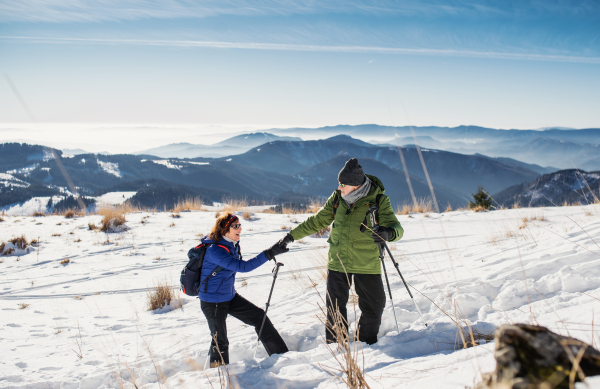 Senior couple with nordic walking poles hiking in snow-covered winter nature, healthy lifestyle concept.