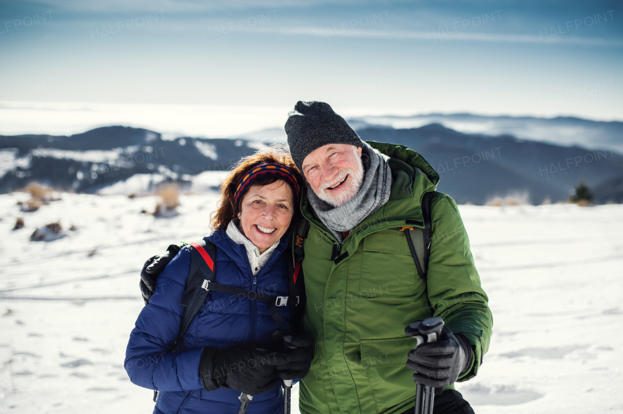 Senior couple hikers with nordic walking poles in snow-covered winter nature, resting.