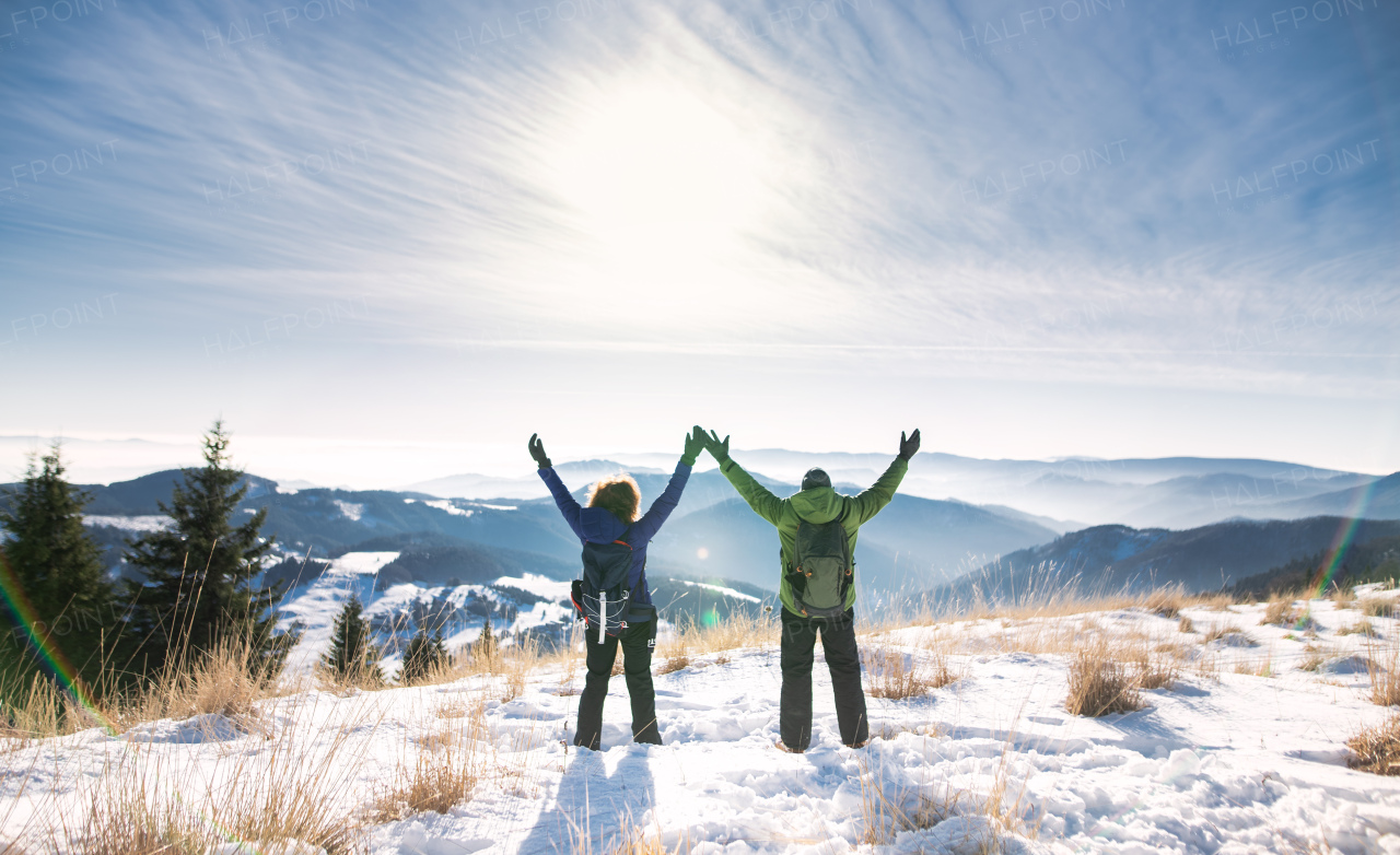 Rear view of cheerful senior couple hikers in snow-covered winter nature, stretching arms.