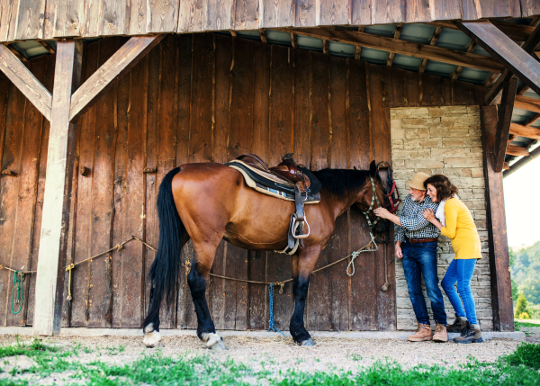 A senior couple with a brown horse standing in front of a wooden stable.