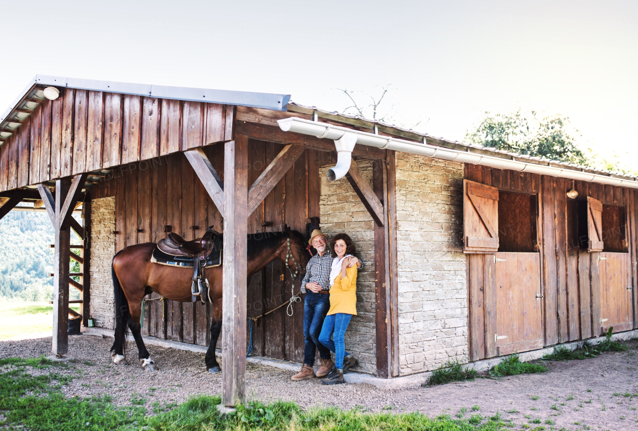 A senior couple with a brown horse standing in front of a wooden stable.