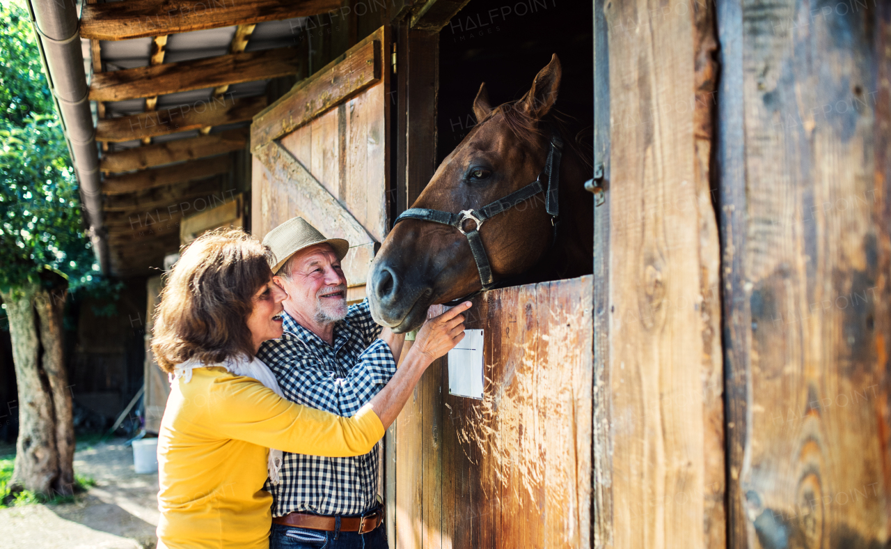 A senior couple with a brown horse standing in front of a wooden stable.