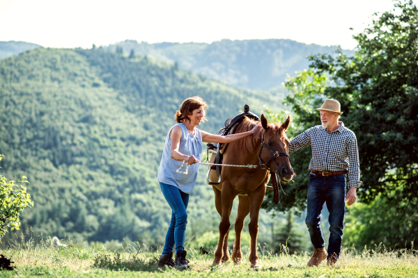 A happy senior couple holding a horse by his lead on a pasture.