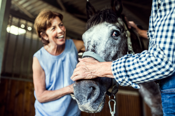 A joyful senior couple petting a horse in a stable.